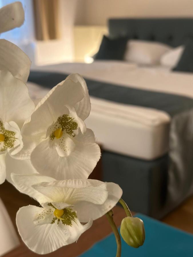 Home Sweet Apartments - A Cozy Welcome فيينا المظهر الخارجي الصورة